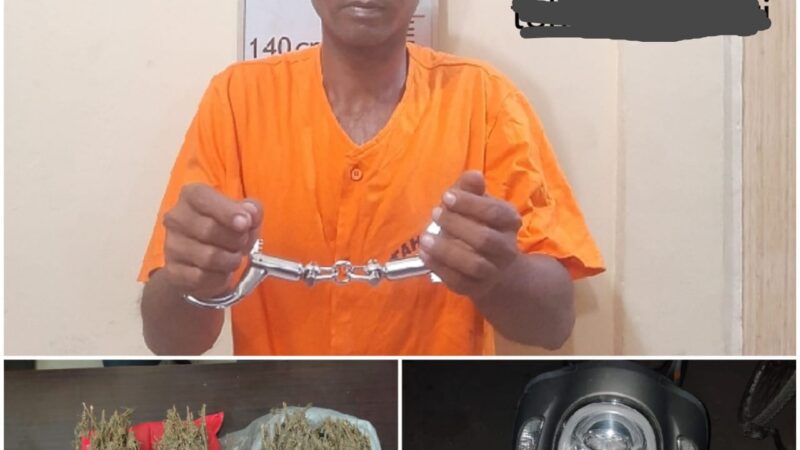 Mantap Kinerja Polres Langkat Under Cover Sat Narkoba Polres Langkat Berhasil Amankan Tersangka Dan 2 kg Ganja
