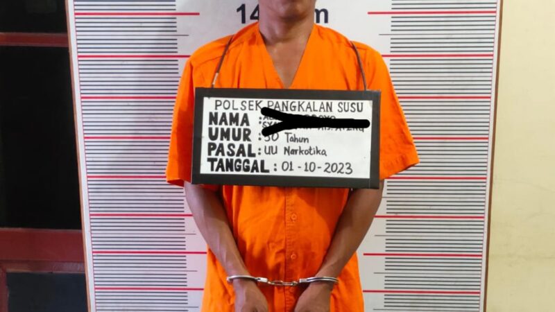 Polsek Pangkalan Susu tangkap Pelaku Penyalah Gunaan Narkotika jenis Ganja