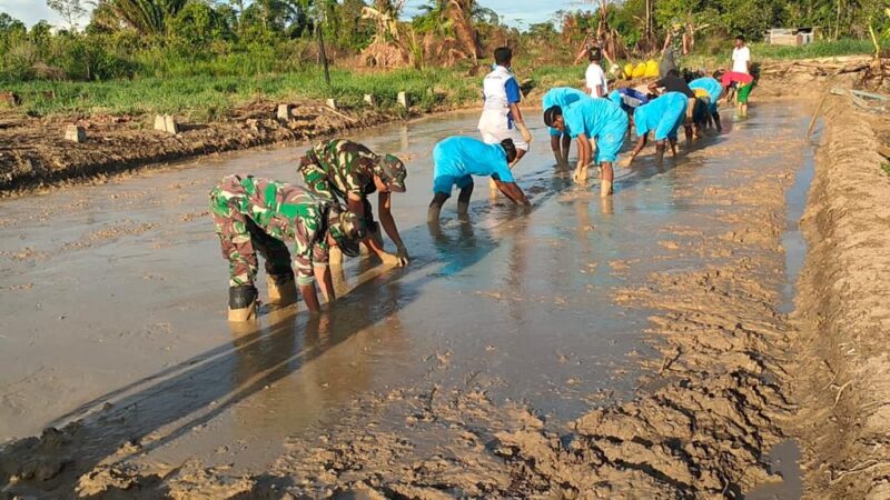Pertama Kali Dikabupaten Mappi, Satgas Yonif 125/SMB Pelopori Buka Lahan Persawahan Bersama Dinas Pertanian