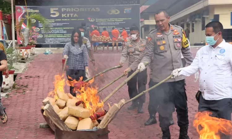 Polres Madina Musnahkan 91 Bal Barang Bukti Ganja