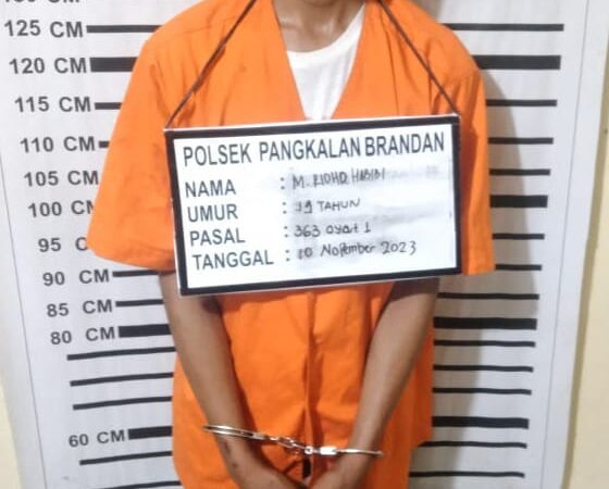 Polsek Pangkalan Brandan Tangkap dan Amankan Pelaku Pencurian