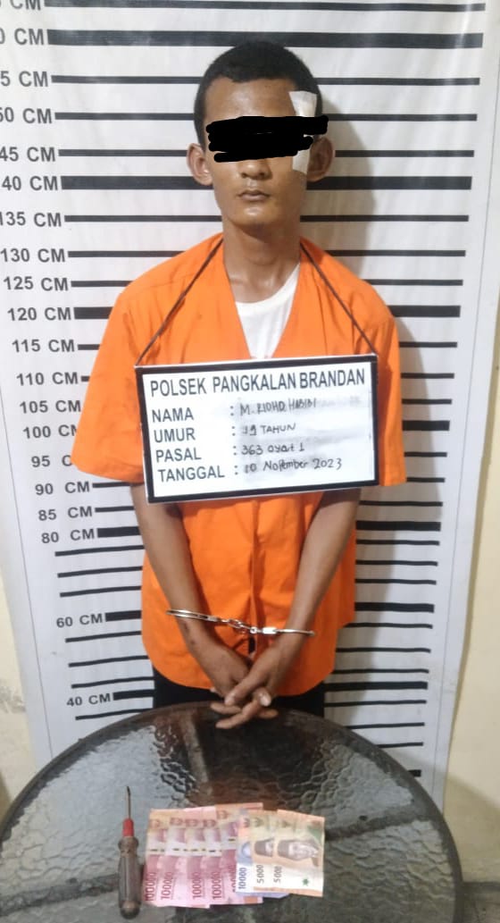 Polsek Pangkalan Brandan Tangkap dan Amankan Pelaku Pencurian