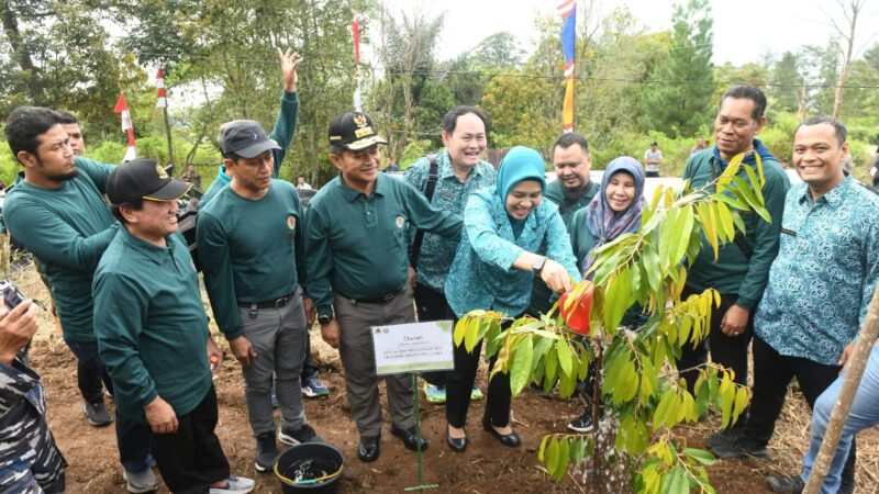 Pj Gubernur Terus Dorong Gerakan Penanaman Pohon Berkesinambungan di Sumut