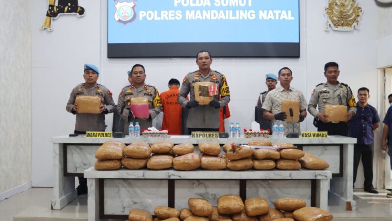 Polres Madina Berhasil Mengamankan 2 Pria Membawa Daun Ganja Kering Sebanyak 116,2KG