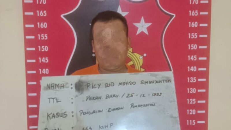 Tim Opsnal Sat Reskrim Polresta Deli Serdang, Berhasil Tangkap 3 Pelaku Curanmor