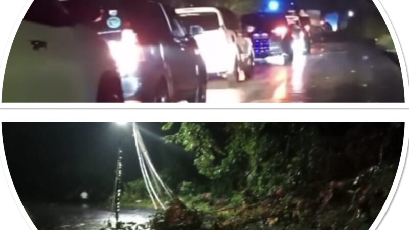 Virall Di Medsos Terjadinya Tanah Longsor Dan Pohon Tumbang Di Kecamatan Sibolangit