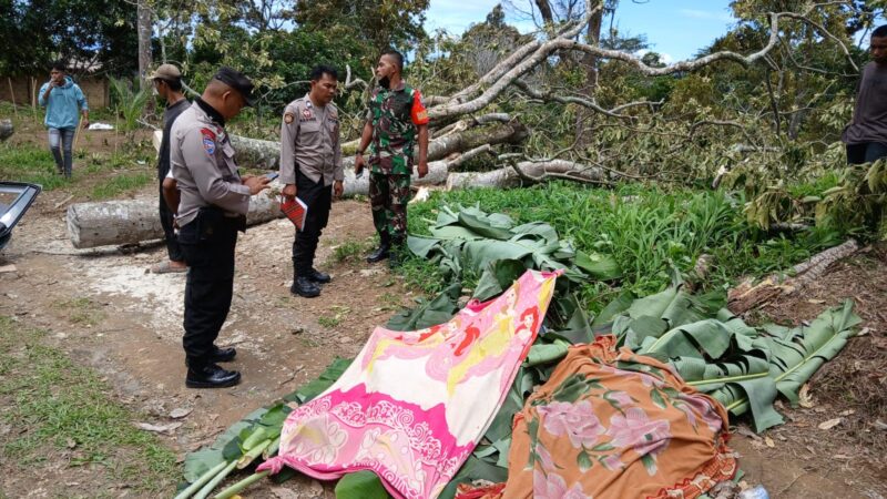 Niat Menikmati Liburan,Tiba Tiba Ditimpa Pohon Tumbang