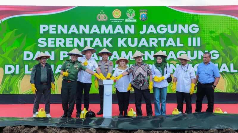 Polda Sumut Tanam Jagung Serentak, Targetkan 24 Ribu Ton Demi Swasembada Pangan 2025