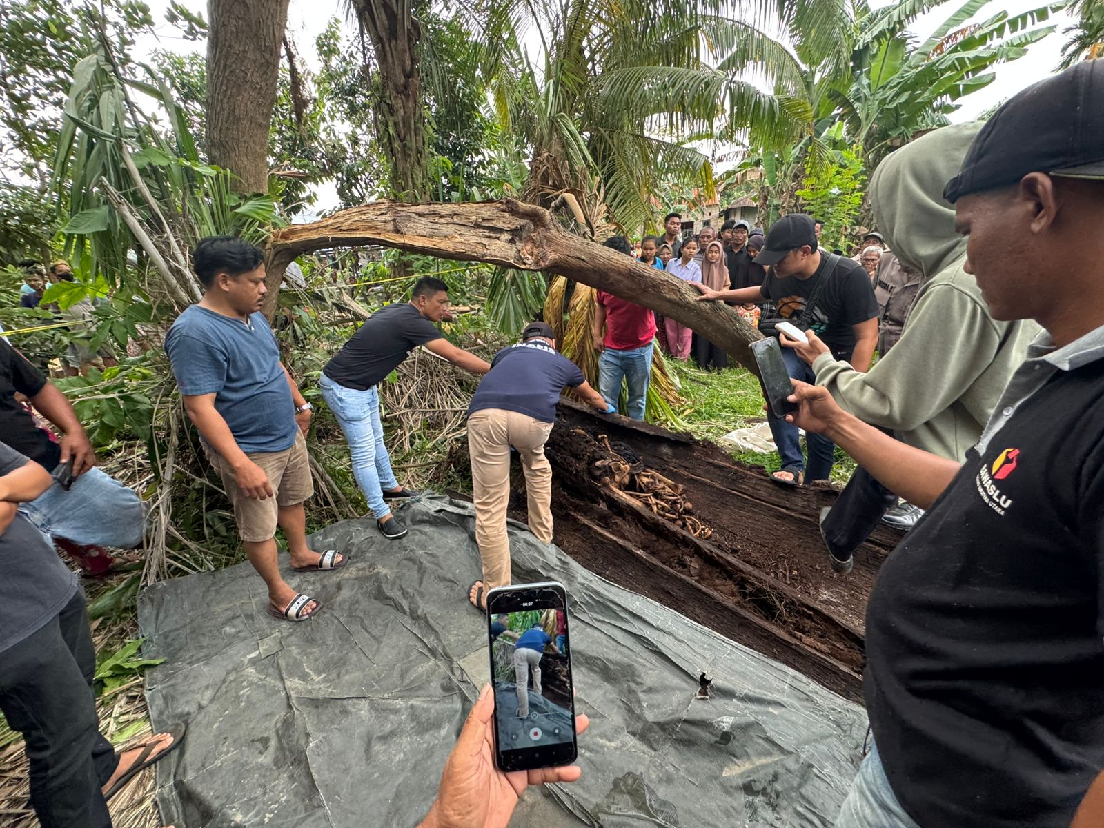 Warga Sergai Temukan Kerangka Manusia di Dalam Pohon Aren Tumbang