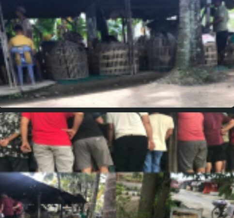 Bak ‘Las Vegas’ Marelan, Lapak Judi Marelan Raup Ratusan Juta Tiap Pekan Tanpa Tersentuh Hukum