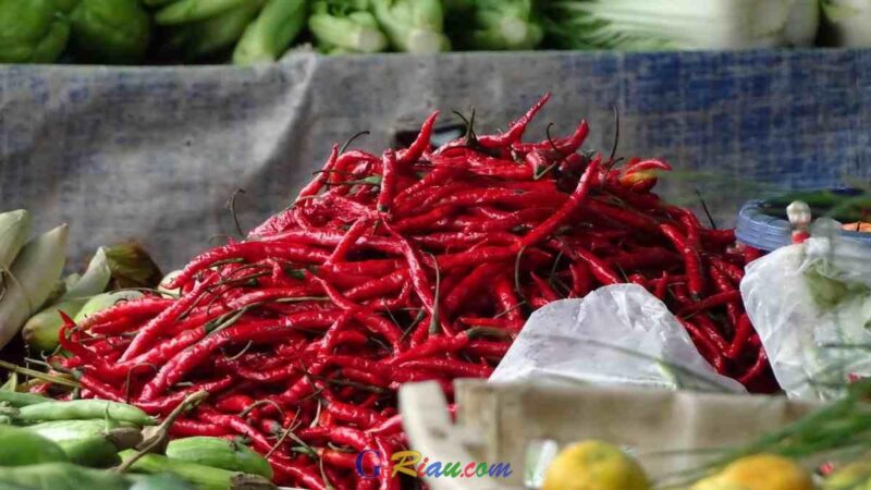 ​”Bahan Dapur Naik Semua”: Keluh Kesah Warga Pekanbaru Hadapi Lonjakan Harga Pasca Bencana