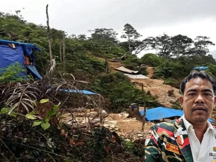 Tambang Emas Ilegal di Sidikalang Capai Skala Masif, Libatkan Anak di Bawah Umur