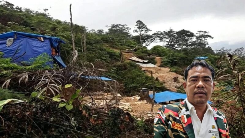 Tambang Emas Ilegal di Sidikalang Capai Skala Masif, Libatkan Anak di Bawah Umur
